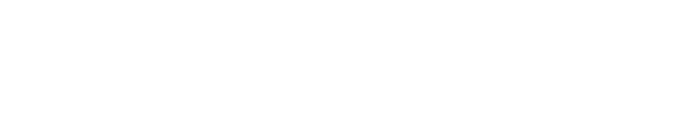 IKOM One